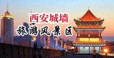 少妇骚网站中国陕西-西安城墙旅游风景区