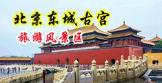 操美女逼一中国北京-东城古宫旅游风景区
